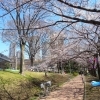 中原平和公園|中原区