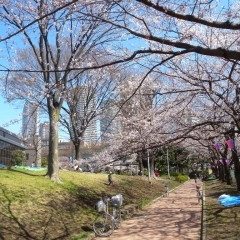 中原平和公園｜中原区