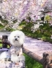 アンバサダー「ヴェソラウスキー阿里耶さん」セレクション