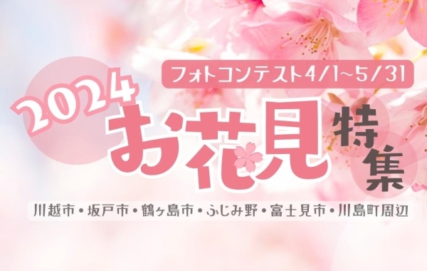 川越市・坂戸市・鶴ヶ島市・ふじみ野市・富士見市・川島町のおすすめお花見スポット！ 【2024年】