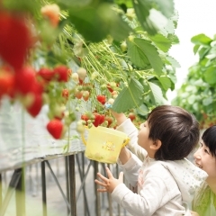 学ぶ・体験でさがす