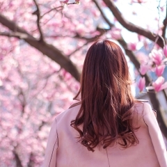 船橋の習い事・おけいこ教室まとめ|女性におすすめのレッスン特集