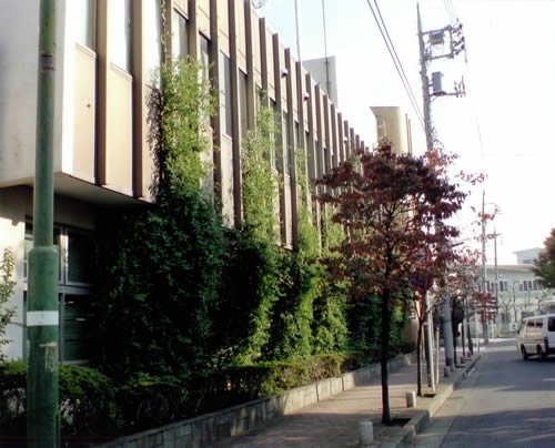 まちかど緑化推進事業として、川崎区大師支所の壁面緑化を実施しました。