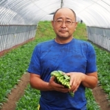 高原ほうれん草（生産農家）　君島孝男さん