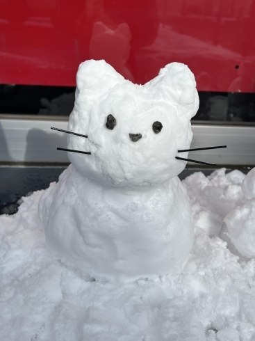 猫だるま「久しぶりの雪⛄️」