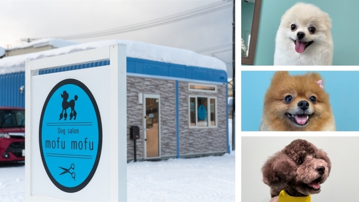 「Dog salon mofu mofu ドッグサロン もふもふ」大切なワンちゃんのためのアットホームで快適なトリミングサロン
