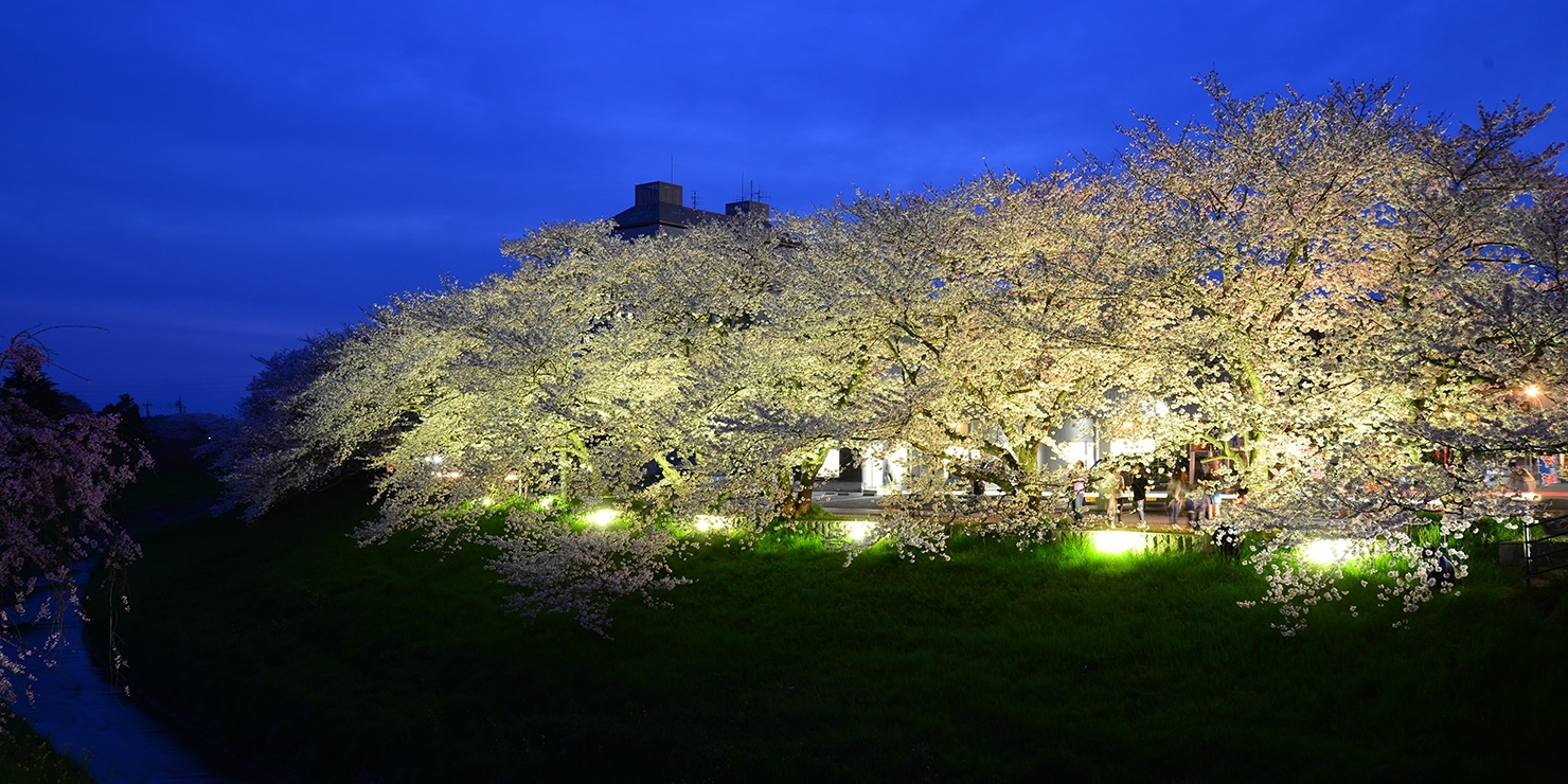 豊田川