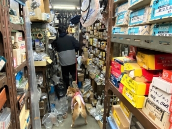 雑然とした店内風景（2）　愛犬の「あきちゃん」もお出迎え「株式会社白藤金物店」
