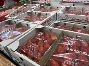 冬から春に向けてイチゴの種類も豊富です！「JAほこた ファーマーズマーケット なだろう」