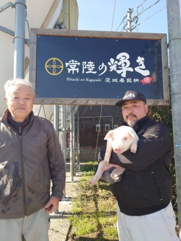 「高須ファーム」「常陸の輝き」とは茨城が誇る銘柄豚です