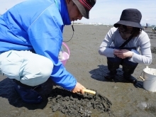 船橋で潮干狩り体験！　簡単にアサリが採れる裏ワザ＆干潟の生き物の見つけ方を伝授