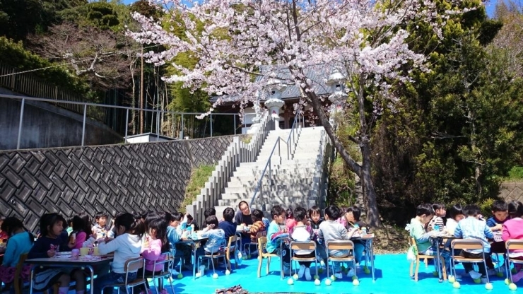 「お花見給食」