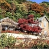 ■紅葉スポット■ 横浜市磯子区【根岸なつかし公園 旧柳下邸】