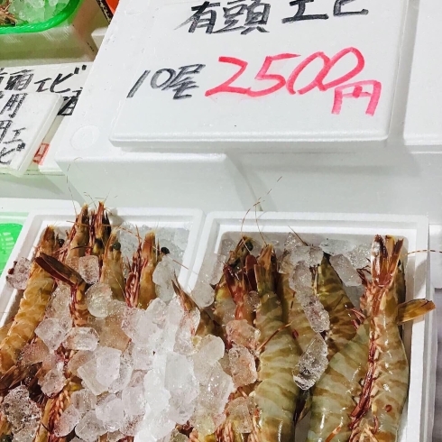 「魚魚市場鮮魚コーナーおすすめは「赤マテ貝」です♪」