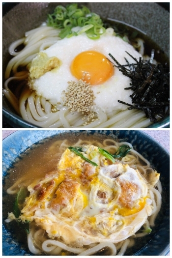 山かけうどん、カツうどんも人気です♪「うどん茶房 麺楽」