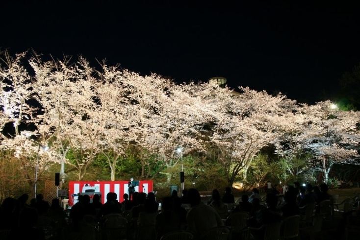「県内最多!！　６７種類の桜の競演	今年で１１回目 さくらまつり4/4～29の土・日・祝日」