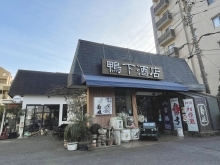 鴨下酒店