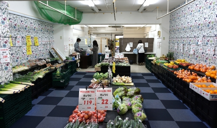 「浜野青果店」新鮮で美味しい！　旬の野菜と果物をお手頃価格で！　勝田台の八百屋