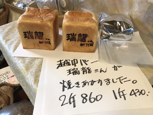 1斤と2斤があります！「越中食パン「瑞龍さん」発売中！【喫茶トワイス】」