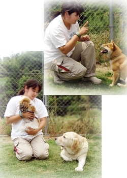 「ARNO（アルノ）ドッグトレーニングスクール」仔犬のしつけから老犬介護までサポートします。