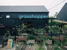 grasshopper cafe