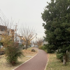 20回 まほら公園(まほらこうえん) ☆武蔵浦和☆