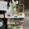 〈新店特集〉【大開】夢菜園(ユメサイ)(2025.12.30オープン)
