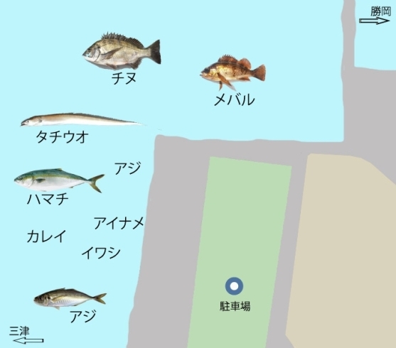 「【 愛媛県中予地域 】海、川 　おすすめ 釣り場情報の紹介！！」