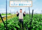 原田ファーム 新鮮京野菜