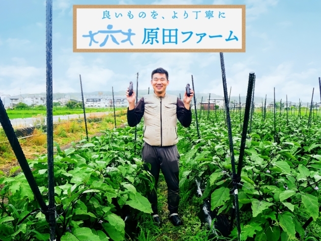 「原田ファーム 新鮮京野菜」時代に合わせた新しい農園スタイルを提案