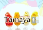 Tamaya 松山店