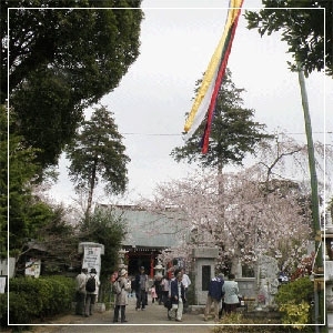 ■　四月八日　正覚院の花祭り　■<br>