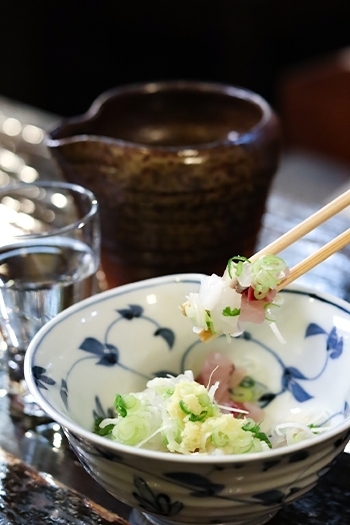 日本酒に合う「アジイカたたき」
※季節によって内容が変わります「居酒屋 れん」