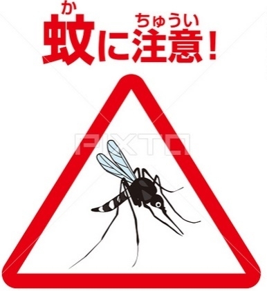 「蚊の対策でデング熱や日本脳炎などの感染症の予防をしましょう。」
