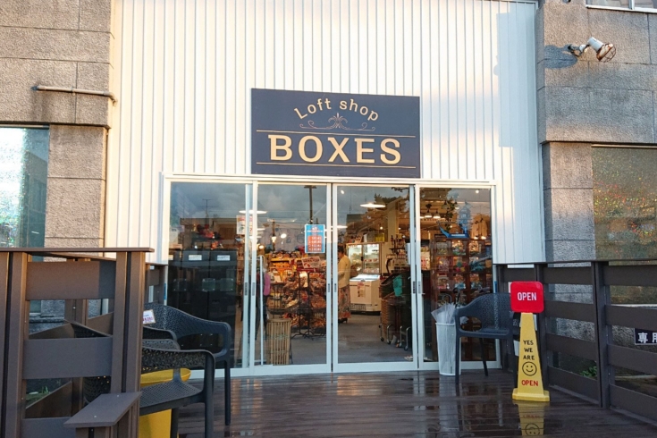 「Loft shop BOXES」驚きと楽しさをお届けしたい♪　そんな想いで作り上げているお店