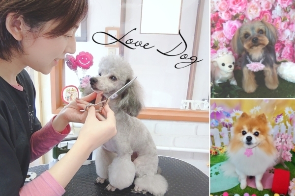 「ペット美容室 LoveDog」パピーからシニアまで幸せのお手伝い☆自由に寛げるお家サロン