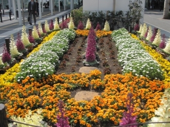 春を知らせる花々で彩られた花壇。