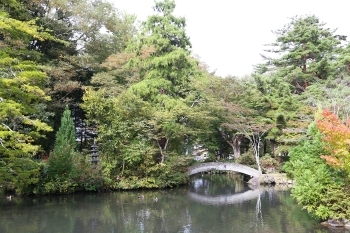 野鳥が集い、心安らぐ中庭。記念撮影や散歩にも最適「戸澤神社」