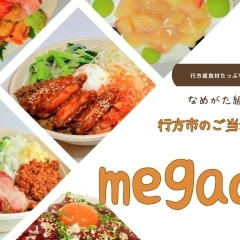 行方市の食材がこの一杯の丼に！　デカ盛りグルメ「行方市のご当地丼　megadon」をご紹介します！