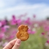 「こうのとりマルシェ」イベントレポート! 花畑そばの小さなマルシェに行ってみた【埼玉県鴻巣市】