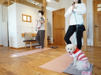 他のワンちゃんとほどよい距離感で、愛犬の社交性も高まります◎「犬と一緒に小さなヨガ教室 Bluemat」