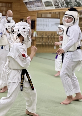 「拳趾流 菊地塾 鎌田道場」