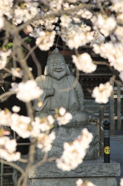 恵比寿さんも桜に囲まれてにっこり笑顔で春を楽しんでいます