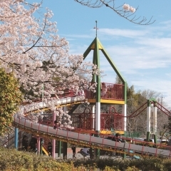 上尾丸山公園|上尾市