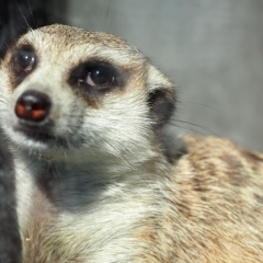 「11 ELEVEN」が浜松市西区村櫛町にオープン!