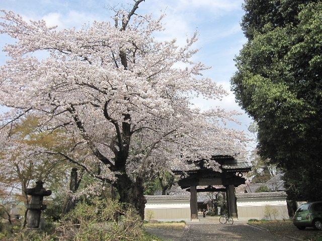 大龍山　天岑寺　（沢）