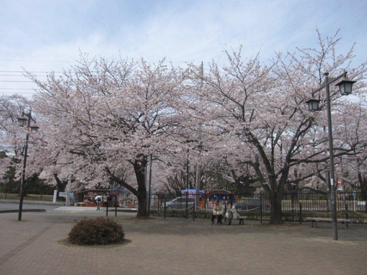 稲荷山公園駅より