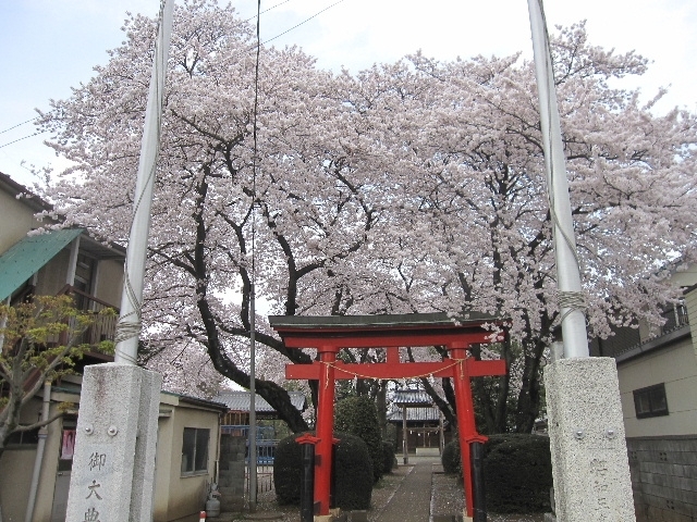 赤い鳥居との対照が美しい