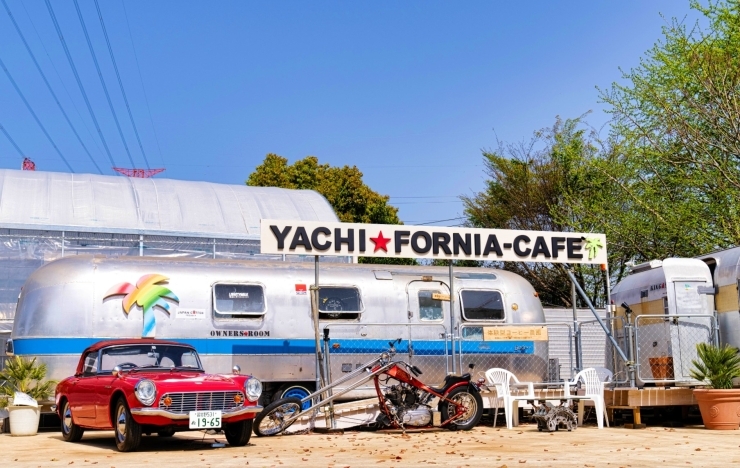 「YACHI★FORNIA-FARM」国産コーヒーの木のオーナー募集中　日常にプレミアムな体験を。