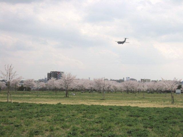 狭山市らしい光景（？）